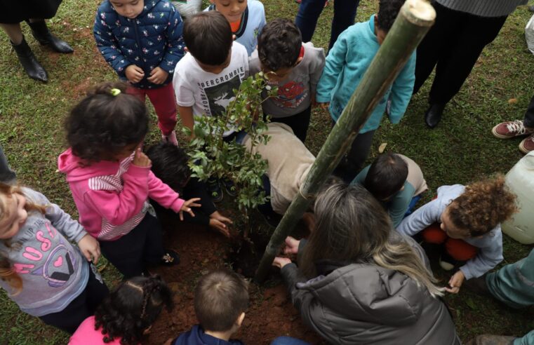 ALUNOS DE SANTO ANDRÉ PROMOVEM PLANTIO DE MUDAS DE ESPÉCIES NATIVAS DA MATA ATLÂNTICA