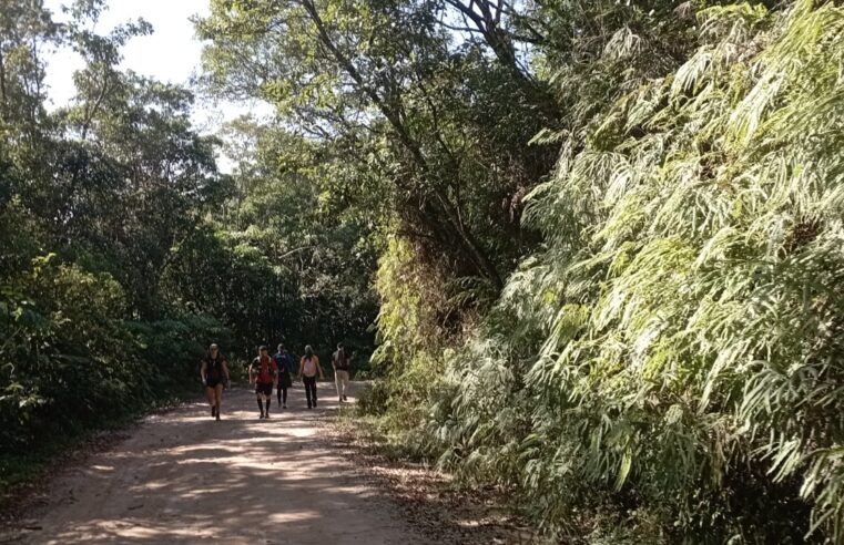 OFICINA ENSINA VOLUNTÁRIOS SOBRE SINALIZAÇÕES DO CAMINHO DO SAL E CAMINHO DA MATA ATLÂNTICA