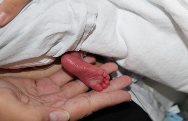 MÉTODO CANGURU FORTALECE VÍNCULO E MELHORA O PROGNÓSTICO DE RECÉM-NASCIDOS PREMATUROS NO HOSPITAL DA MULHER DE SÃO BERNARDO