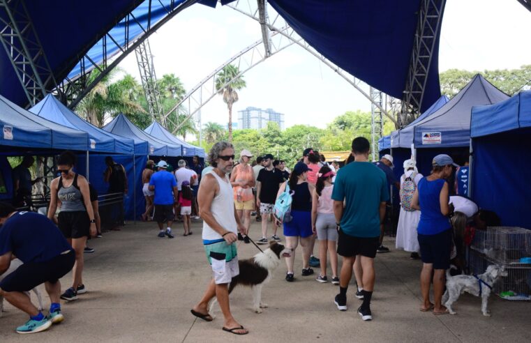 PARQUE CENTRAL RECEBE MAIS UMA EDIÇÃO DA FEIRA “EU AMO, EU ADOTO”
