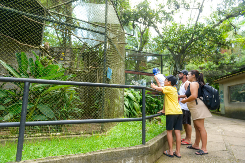 LANÇAMENTOS DO ‘SBC SUSTENTÁVEL’ E ‘LINHA VERDE’ REFORÇAM AÇÕES DO MEIO AMBIENTE