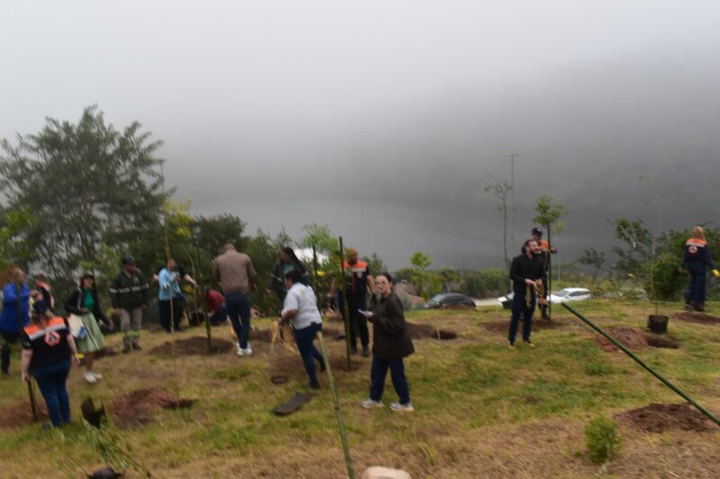 NO DIA DO MEIO AMBIENTE, SANTO ANDRÉ PLANTA MAIS DE 100 MUDAS DE ÁRVORES