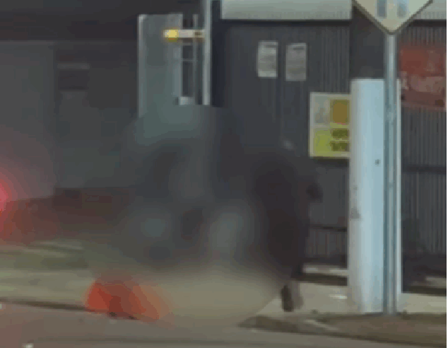 ALÉM DOS VEÍCULOS, HOMEM EM SURTO ATACOU ÔNIBUS E PONTOS COM PEDRAS NA VERGUEIRO