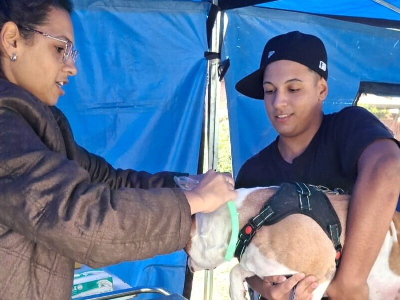 SANTO ANDRÉ PROMOVE VACINAÇÃO ANTIRRÁBICA E ENCOLHIMENTO CONTRA FEBRE MACULOSA EM PARANAPIACABA