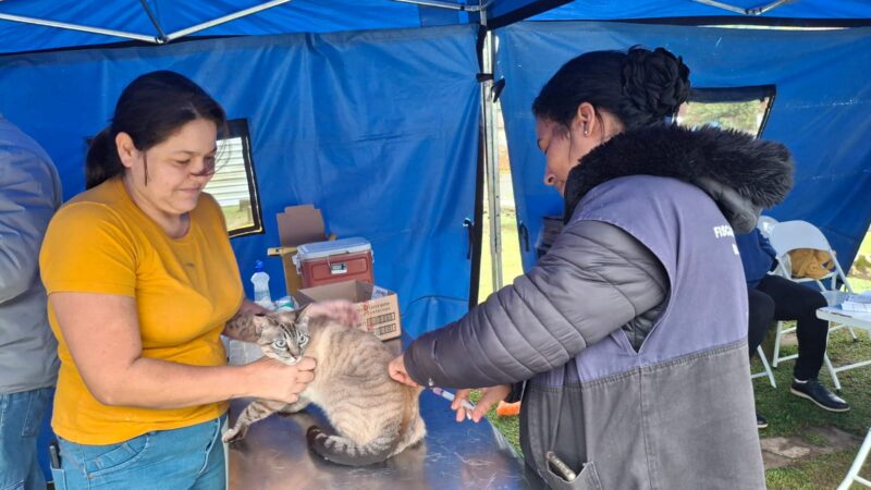 SANTO ANDRÉ PROMOVE VACINAÇÃO ANTIRRÁBICA E ENCOLHIMENTO CONTRA FEBRE MACULOSA EM PARANAPIACABA