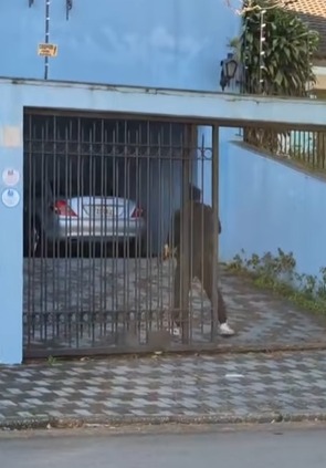 POLÍCIA MILITAR REALIZA SIMULADO DE ROUBO A RESIDÊNCIAS DE ALTO PADRÃO EM SÃO CAETANO; VEJA COMO FOI