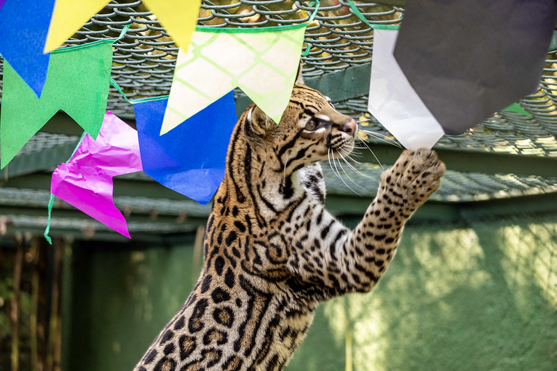 ZOO E JARDIM BOTÂNICO DE SÃO PAULO OFERECEM VISITAS GUIADAS E PAINÉIS EXCLUSIVOS PARA GRUPOS DE ESCOLAS E UNIVERSIDADES