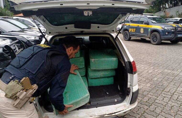 PRF APREENDE 515 KG DE MACONHA EM JOINVILLE EM CARRO ABANDONADO COM PLACAS DE SÃO BERNARDO