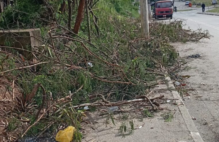 MORADOR REGISTRA SUJEIRA DEIXADA PELA ENEL APÓS PODA DE ÁRVORES NO JARDIM SILVINA