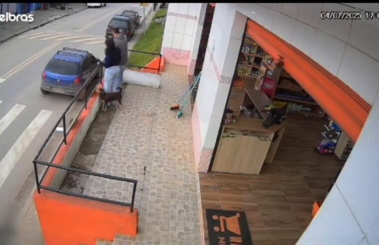 VÍDEO: CÃO ATROPELADO POR ÔNIBUS ESCOLAR NO PÓS-BALSA NÃO RESISTE E MORADORES RELATAM QUE CASOS SÃO RECORRENTES