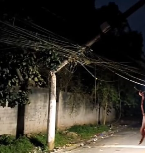 POSTE QUEBRA AO MEIO NO JARDIM REPRESA, EM SÃO BERNARDO