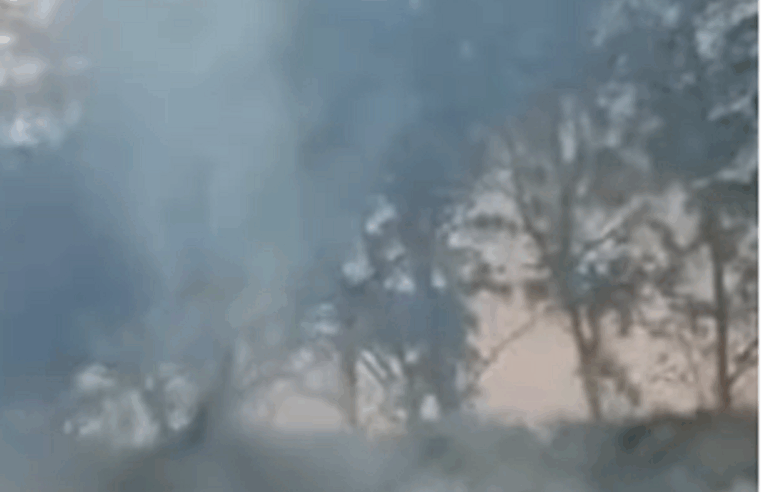 INCÊNDIO ATINGE VEGETAÇÃO NA RODOVIA DOS IMIGRANTES, EM SÃO BERNARDO