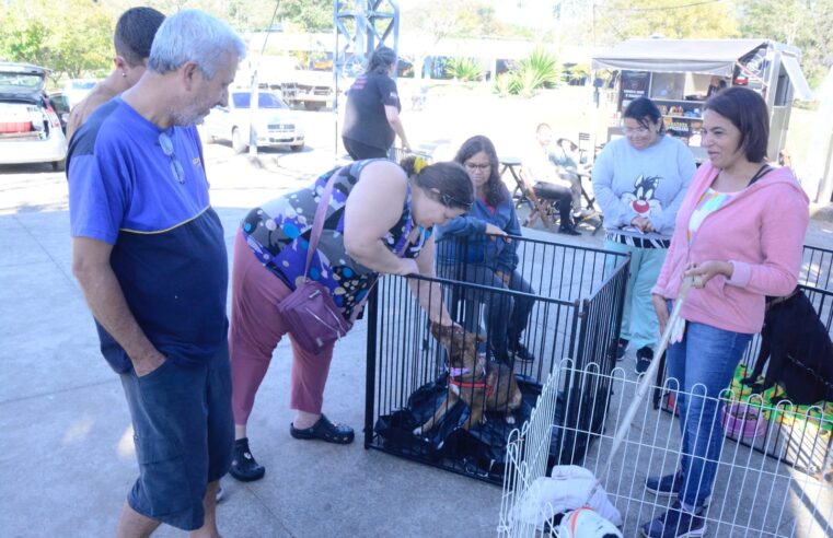 SANTO ANDRÉ PROMOVE FEIRA DE ADOÇÃO COM 117 ANIMAIS NO PARQUE CENTRAL NESTE DOMINGO