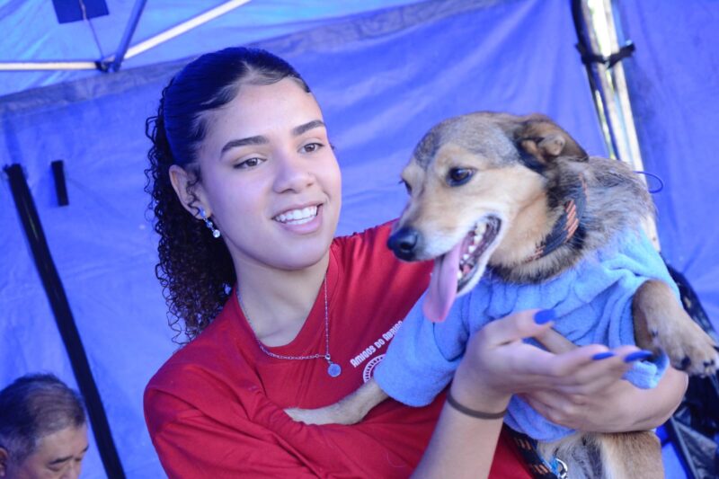 SANTO ANDRÉ PROMOVE FEIRA DE ADOÇÃO COM 117 ANIMAIS NO PARQUE CENTRAL NESTE DOMINGO