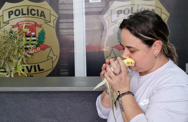 SMART SANCA AJUDA A LOCALIZAR CALOPSITA DESAPARECIDA EM SÃO CAETANO