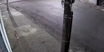 MENINA DE 3 ANOS ENCONTRADA NA RUA ESTÁ EM ACOLHIMENTO INSTITUCIONAL EM SANTO ANDRÉ