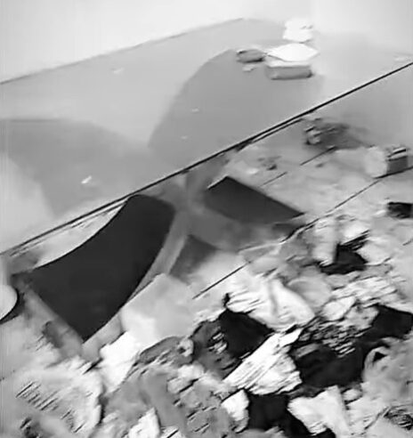 CÃES ABANDONADOS NO JARDIM SILVINA SÃO RESGATADOS, GANHAM NOMES E ESTÃO PARA ADOÇÃO