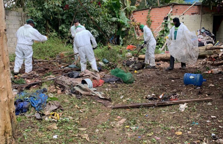 DIVISÃO DE VETERINÁRIA E CONTROLE DE ZOONOSES DE SÃO BERNARDO FAZ ALERTA SOBRE ACIDENTES COM ESCORPIÕES