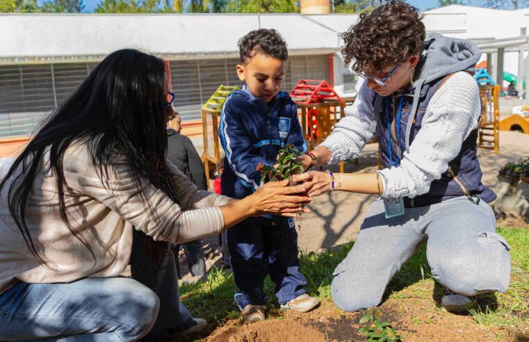 DIADEMA PLANTA ÁRVORES, FLORES E AROMÁTICAS EM CRECHE DO JARDIM DAS NAÇÕES