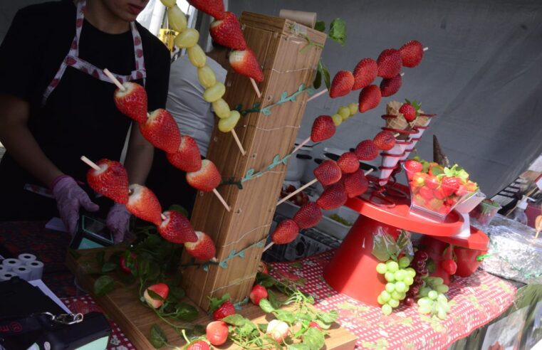 FESTIVAL DO MORANGO, CHURROS & CHOCOLATE CHEGA AO PARQUE CHÁCARA PIGNATARI