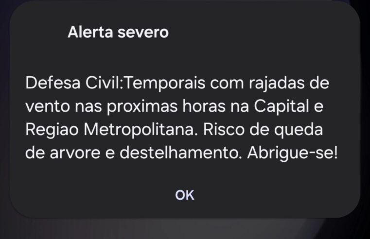 DEFESA CIVIL EMITE ALERTA PARA TEMPORAIS COM RAJADAS DE VENTO NO ESTADO
