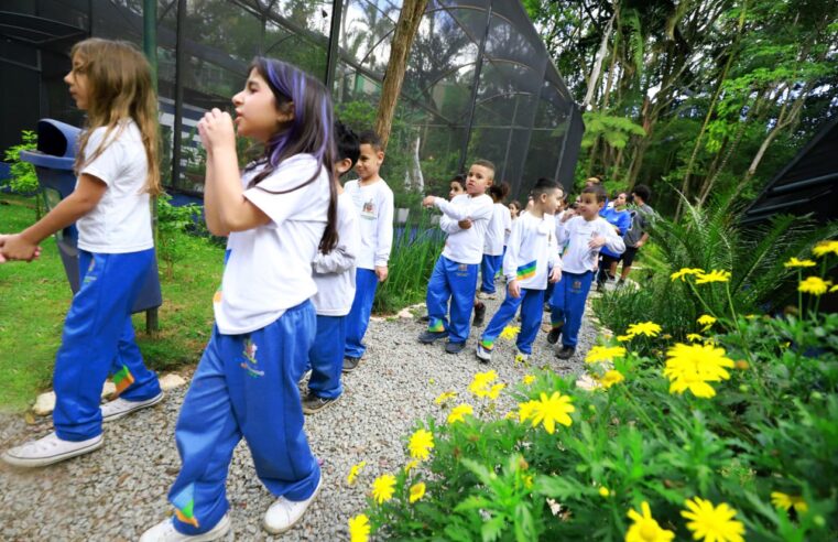 BORBOLETÁRIO DE DIADEMA COMPLETA 20 ANOS E AMPLIA DIAS DE VISITAS