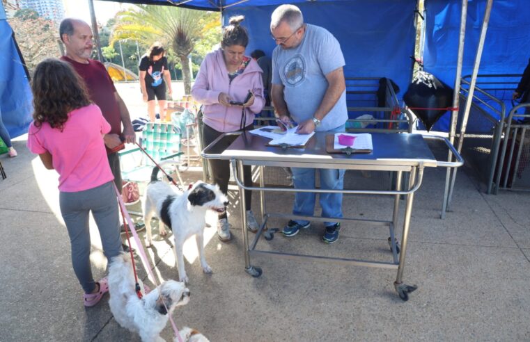 FEIRA DE ADOÇÃO “EU AMO, EU ADOTO” SERÁ REALIZADA NESTE DOMINGO NO PARQUE CENTRAL