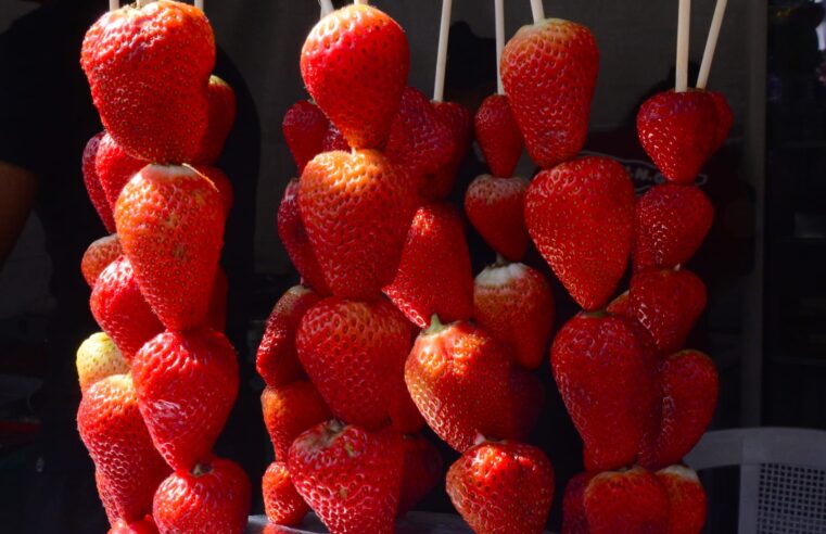 FESTIVAL DO MORANGO, CHURROS & CHOCOLATE INICIA TOUR PELOS PARQUES DE SANTO ANDRÉ