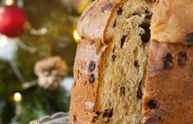 SÃO BERNARDO OFERECE CURSOS GRATUITOS DE PANETONES, PÃES E INSTALAÇÕES ELÉTRICAS RESIDENCIAIS