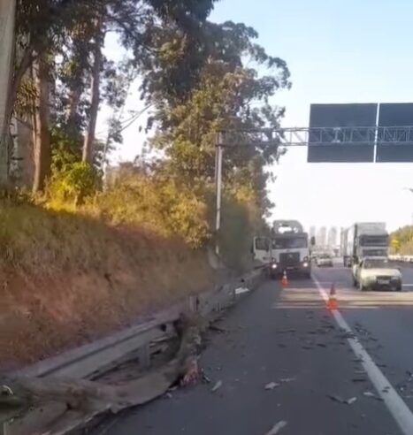 “ESCAPEI POR UM MILAGRE”, DIZ MOTORISTA DE CARRO ATINGIDO POR ÁRVORE NA ANCHIETA