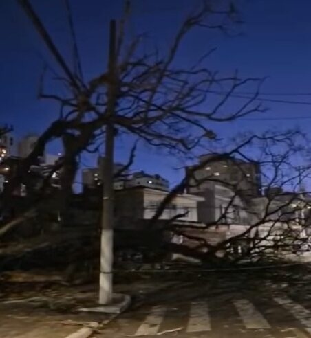 ÁRVORE CAI E INTERDITA VIA NA PRAÇA LONDRES, NO RUDGE RAMOS