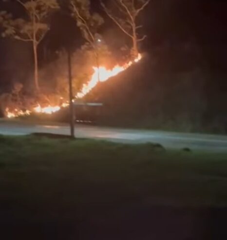 QUEIMADA É REGISTRADA NA NOITE DESTE DOMINGO NO PARQUE SELECTA, EM SÃO BERNARDO