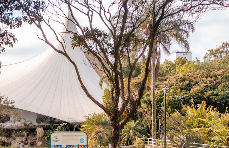 SÃO BERNARDO ABRE À PARTICIPAÇÃO POPULAR SEGUNDA EDIÇÃO DO GUIA DE ARBORIZAÇÃO URBANA