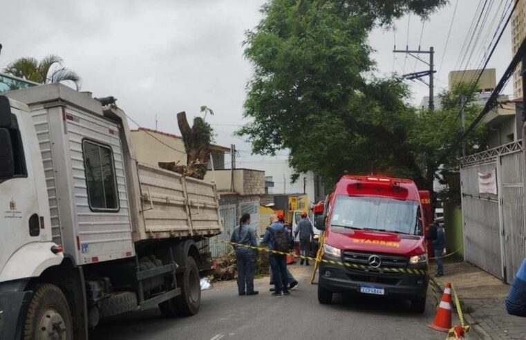 TRABALHADOR MORRE DURANTE SERVIÇO DE PODA EM SÃO BERNARDO