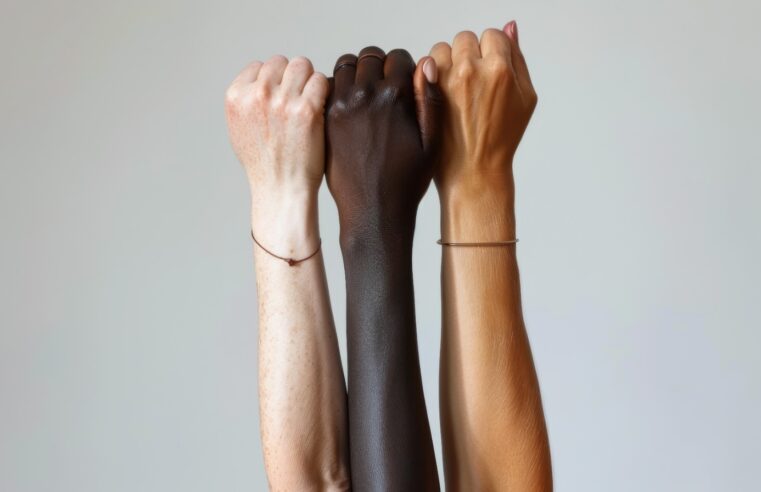 LANÇAMENTO DE CARTILHA SOBRE IGUALDADE RACIAL MARCARÁ ABERTURA DO MÊS DA CONSCIÊNCIA NEGRA EM SÃO BERNARDO 