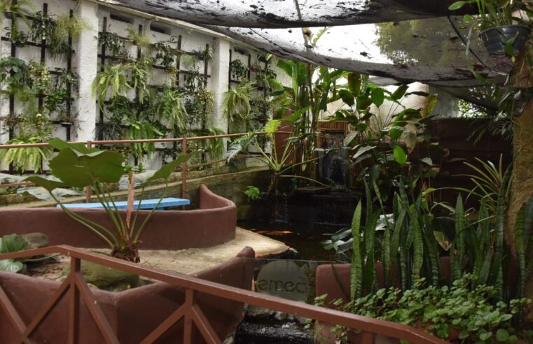EMEA PARQUE TANGARÁ ABRIRÁ AOS SÁBADOS COM ATIVIDADES DE EDUCAÇÃO AMBIENTAL PARA A COMUNIDADE