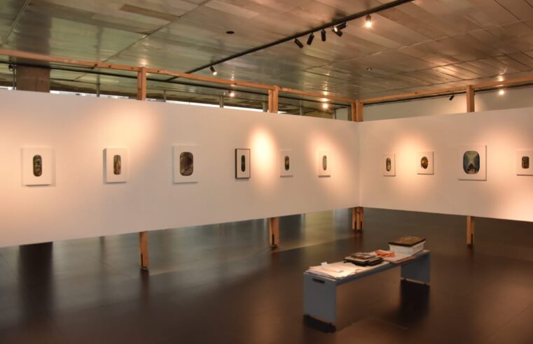 MOSTRA NO PAÇO DE SANTO ANDRÉ CELEBRA 90 ANOS DE NASCIMENTO DO ARTISTA JOÃO SUZUKI