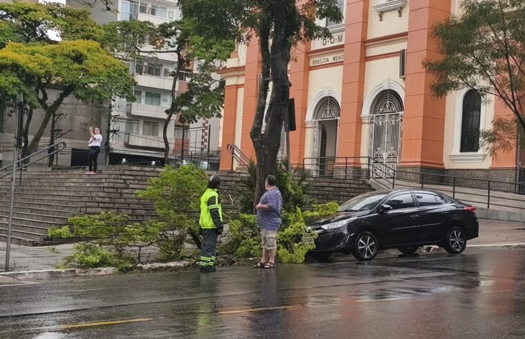 GALHO DE ÁRVORE CAI NA MATRIZ DURANTE CHUVA FORTE DESTA QUARTA