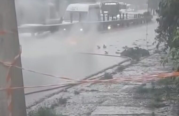 QUARTA-FEIRA COMPLICADA EM SÃO BERNARDO: CHUVA PROVOCA QUEDA DE ÁRVORES E ROMPIMENTO DE CABO DE ALTA TENSÃO NO DEMARCHI