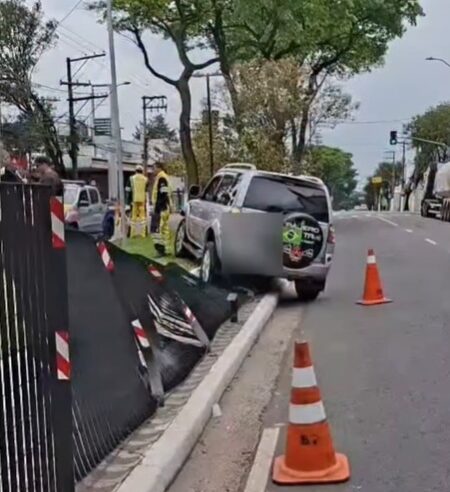 ALERTA DE TRÂNSITO: CARRO INVADE CANTEIRO NA AVENIDA CAMINHO DO MAR