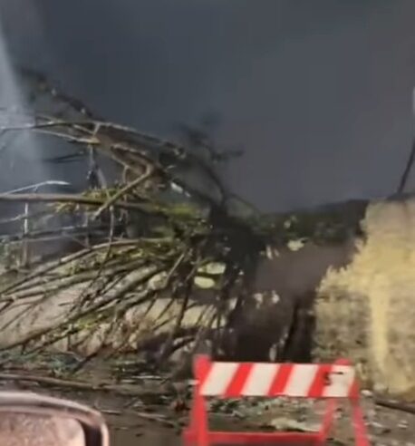 VENTO DERRUBA ÁRVORE NO CLUBE PALESTRA, NO FERRAZÓPOLIS