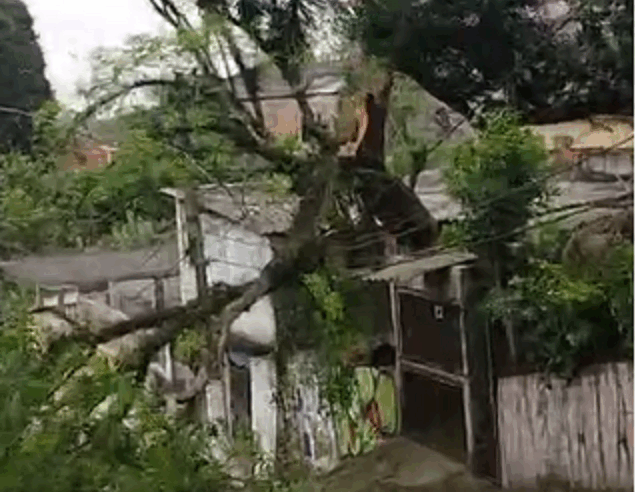 VENTANIA MARCA A SEGUNDA-FEIRA EM SÃO BERNARDO