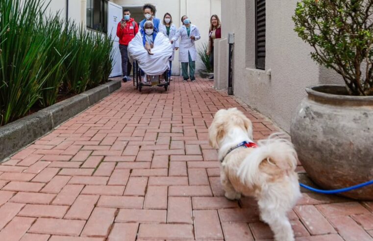 CÂMARA APROVA VISITA DE PETS A PACIENTES EM HOSPITAIS DE SÃO BERNARDO