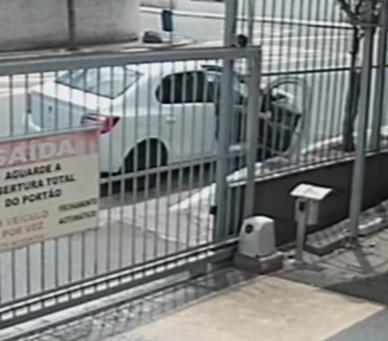 VÍDEO MOSTRA CACHORRO SENDO ABANDONADO EM SÃO CAETANO