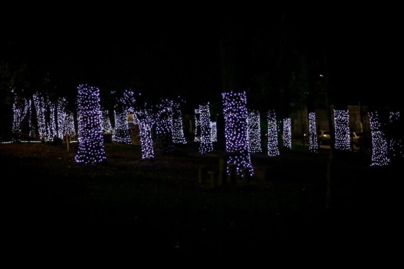 CONFIRA COMO FICOU A ILUMINAÇÃO DE NATAL DA CHÁCARA SILVESTRE