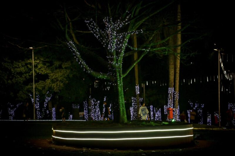 CONFIRA COMO FICOU A ILUMINAÇÃO DE NATAL DA CHÁCARA SILVESTRE