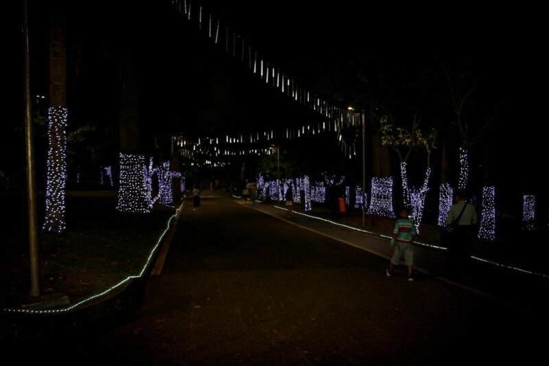 CONFIRA COMO FICOU A ILUMINAÇÃO DE NATAL DA CHÁCARA SILVESTRE