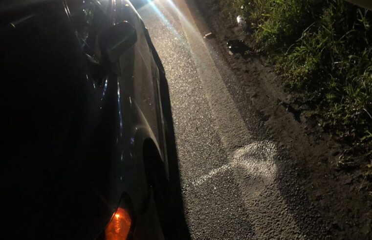 CAPIVARA INVADE A PISTA DA ANCHIETA NO KM 24 E PROVOCA ACIDENTE