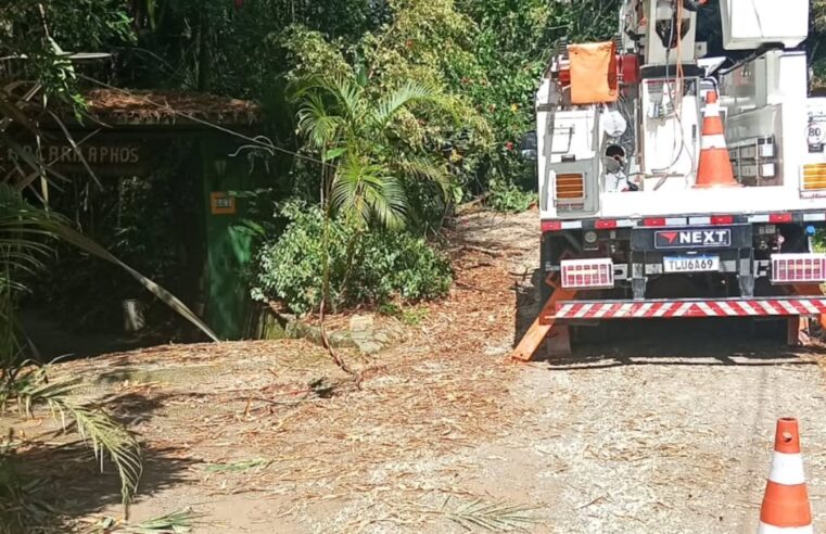 ÁRVORE CAI, DERRUBA FIAÇÃO E EQUIPES SE MOBILIZAM PARA LEVAR GERADOR A IDOSO QUE DEPENDE DE RESPIRADOR NO JARDIM TUPÃ