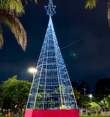 VEJA COMO FICOU A ÁRVORE DE NATAL NA PRAÇA GIOVANNI BREDA (ÁREA VERDE)